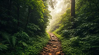 Western Ghats Nature Trails Are Perfect For Romantic Walks