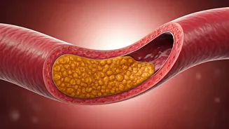 Unraveling the Heart: Prevention and Maintaining a Healthy Artery System