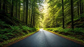 Lush Forest Roads Are The Romance Flex Now
