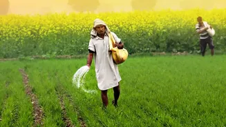 Why Farmers and Policymakers Watch El Niño So Closely