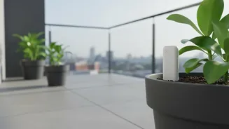 Balcony Garden Care Improves As IoT Soil Sensors Offer Precise Moisture Monitoring