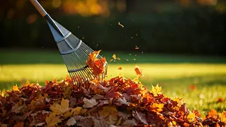 Transform Your Yard Work: Why Raking Leaves is a Surprisingly Great Cardio Workout!