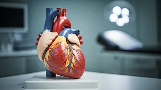 Heart Health: Push-up Test & Hidden Risks