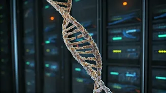 Decoding Genomes: How Data Compression Revolutionizes Pangenomics