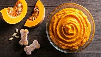 Use Fresh Pumpkin Mash In Frozen Treats For Dogs
