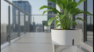 Urban Gardeners Turn To Self-Watering Pots During Hectic Workweeks