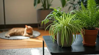 Indian Homes Want Plants Pets Can Live With