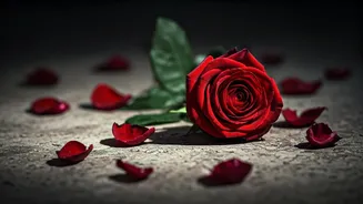 Shahid Kapoor's 'O Romeo': A Brutal Love Story