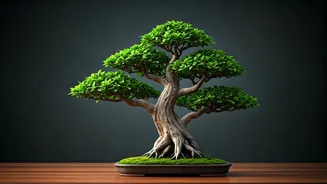 Thriving Past 100: India's Guide to Healthy and Vibrant Aging After 50