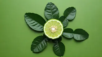 Unlock Kaffir Lime's Secrets: 5 Surprising Health Benefits for Your Diet