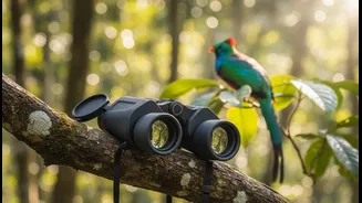 Birding Holidays Turn Waiting into Part of the Experience