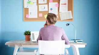 Simple Home Office Ergonomic Guidelines To Prevent Lower Back Strain During Long Hours