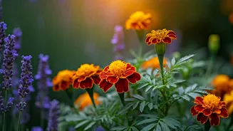 Pest-Repelling Flowers Are The Smart Monsoon Pick