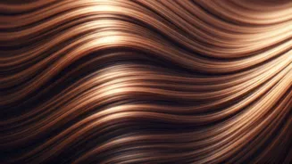 Related Stories banner