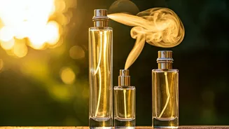 Summer Scents Decoded: EDT vs. EDP vs. EDC for Hot Weather