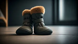 Ditch Muddy Paws For Custom Dog Booties Tonight