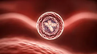 Revolutionary Lipid Nanoparticles Target Lung Cancer and Muscle Loss Simultaneously