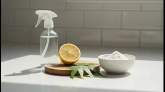 The Reader-Service Questions to Ask About Low-Chemical Monsoon Cleaning and Vinegar, Neem and Baking Soda