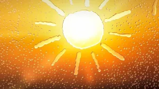 How To Manage Indoor Moisture When Monsoon Rain Keeps Windows Closed