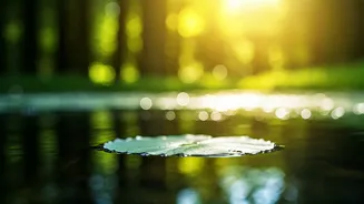 Emotional Wellness: Your Weekly Guide (Jan 12-18)