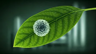 Can Plants Make Us Sick? Unraveling the Rare Cross-Species Germ Infections