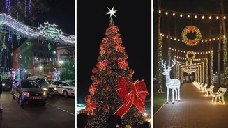 Christmas in Kolkata: A Complete Guide to Park Street’s Festive Magic
