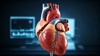 Related Stories banner