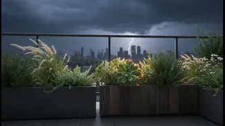 A Balcony Garden Should Survive Storms, Not Just Sunny Weekends