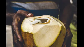 How to Stay Hydrated in Indian Summer Heat