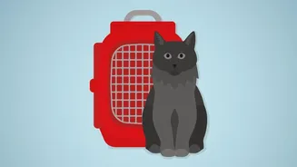 A Missing-Pet Plan Should Include Who Contacts Which Local Services