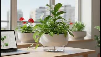 From Balconies To Desks, Self-Watering Planters Transform Small Green Spaces