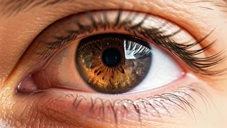 Eyesight Supercharged: Essential Nutrients for Vision