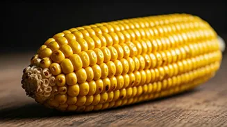 This Corn Treat Never Disappoints