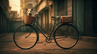 Mumbai Hero's Bicycle Ride: Compassion on Two Wheels for a Sick Community Dog