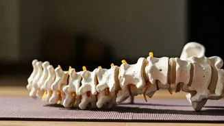 Do These Exercises To Alleviate Back Pain