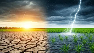 Changing Rainfall Patterns May Reshape Household Budgets