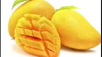 “King of Fruits, King of Debates”: The Global Rivalry Over Which Mango Is Truly the Best