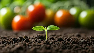 9 Garden Surprises: Plants Experts Say You Should Never Buy as Seedlings!