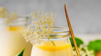 Pure Floral Bliss: Why Honey Chamomile Panna Cotta Is Ultimate Refreshing Dessert