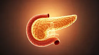 Master Diabetes Management with These 4 Powerful Yoga Poses