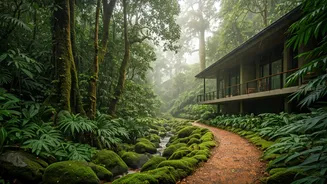 Coorg’s Majestic Rain Trails Combined With Heavy Discounts Are Irresistible