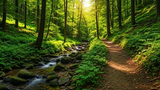 Related Stories banner