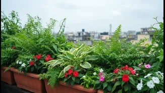 Terrace Gardening This Monsoon Is About Comfort, Cooling And Low-Maintenance Greenery