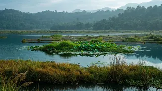 What India's Conservation Data Can Tell Us About Threatened Habitats