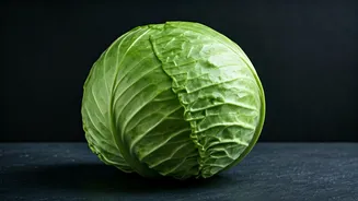 Cabbage Declared 2026's Most Underrated Superfood For Gut Health