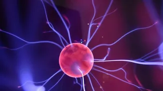 Why Scientists Are Studying More Than Sleep For Brain Health
