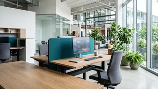AI Workplace Changes Extend Beyond Job Cuts: Colliers Report