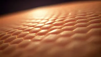 Ceramides Are Becoming Beauty's Biggest Success Story