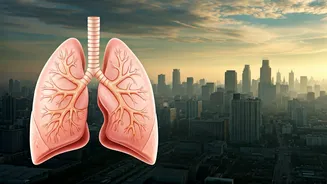 Delhi's Toxic Air: Decoding Pollution & Its Impacts