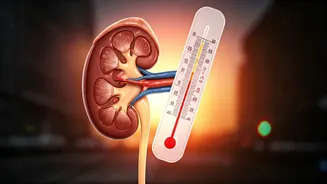 India's 2026 Heatwave: Essential Commuter Survival Guide